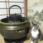 photpACの画像