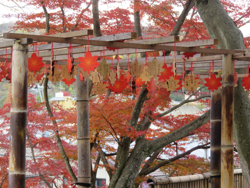 温泉神社・秋-02