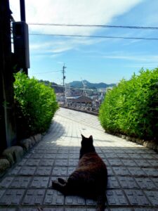 風景写真2