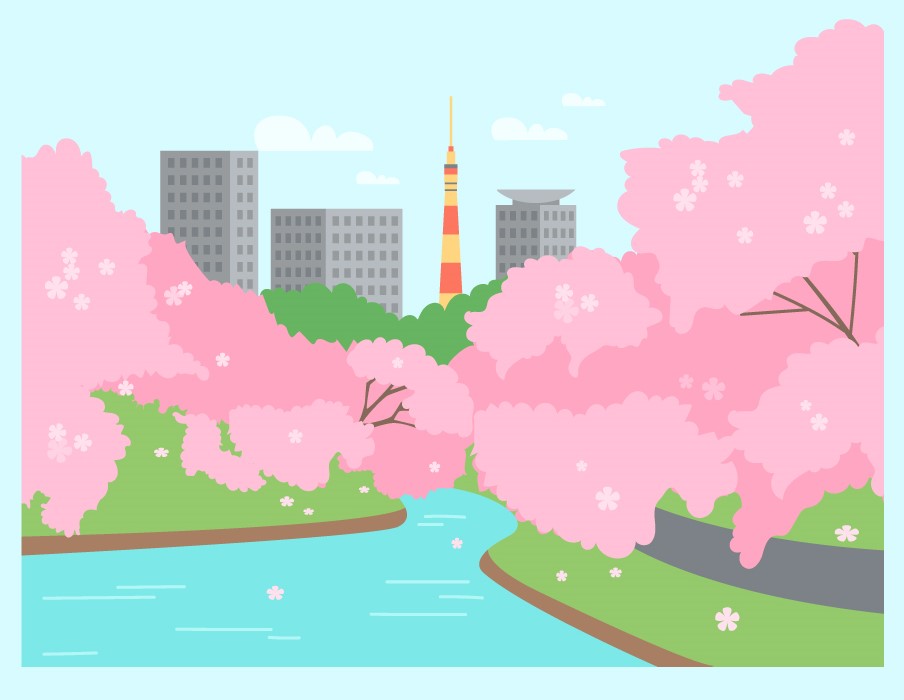 お花見2
