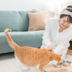 キャットフードの量00