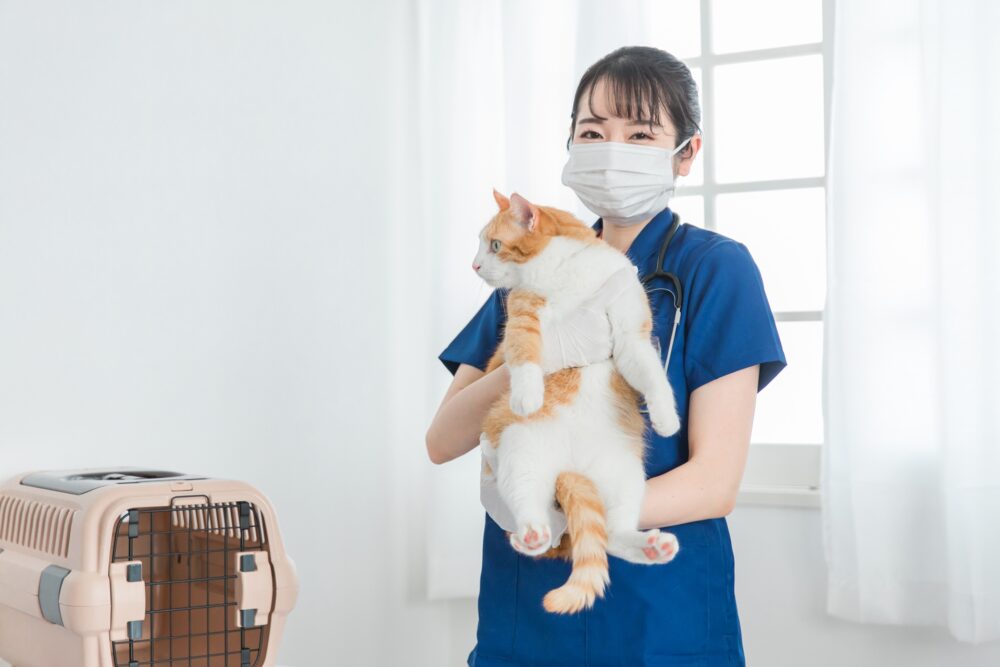 予防接種01