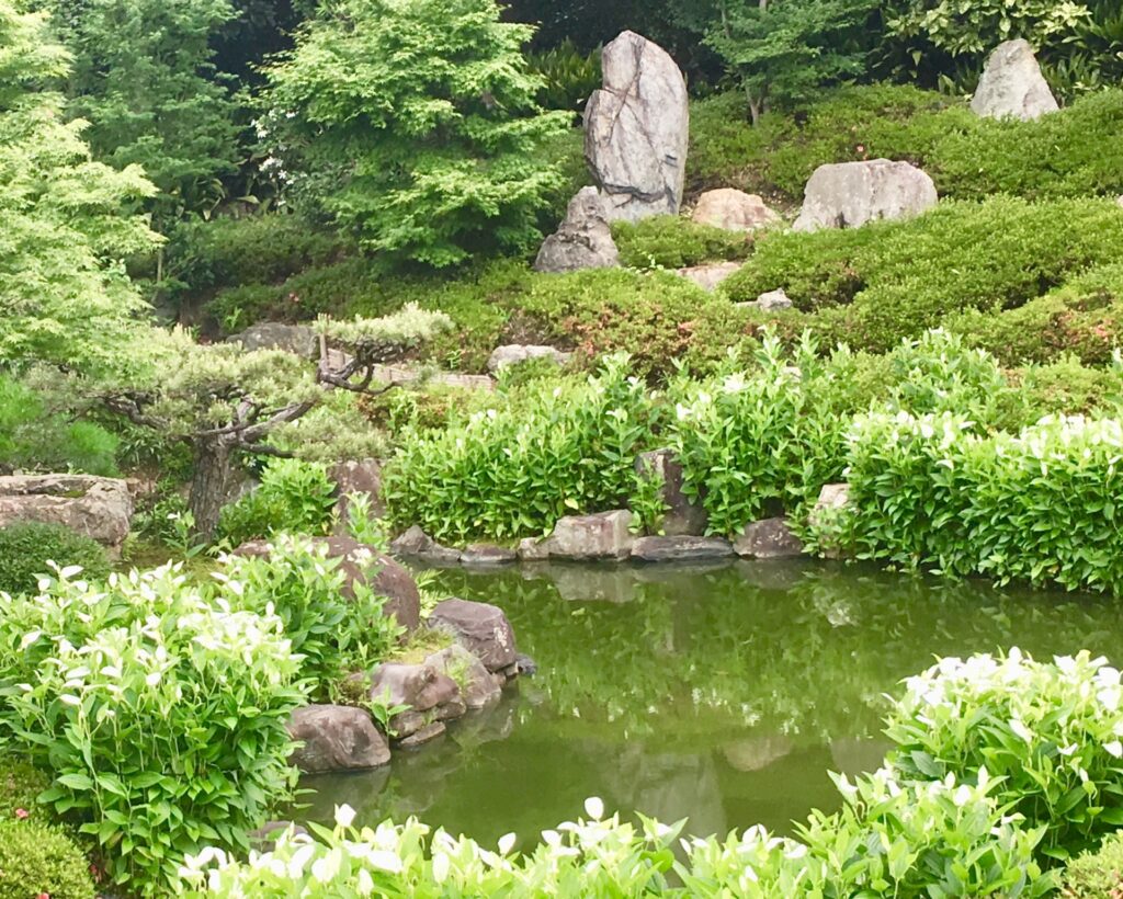 半夏生-11