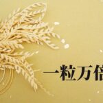 一粒万倍日-00