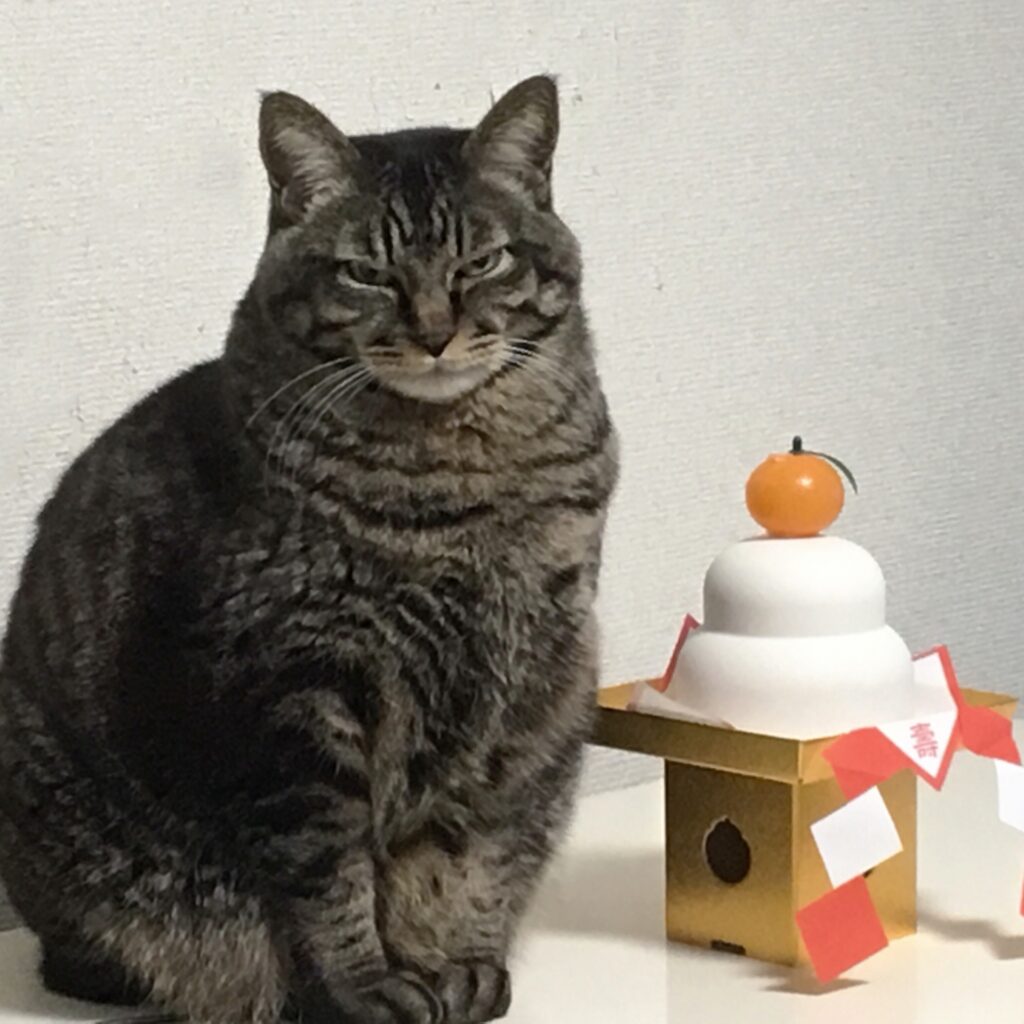 正月の遊び-13