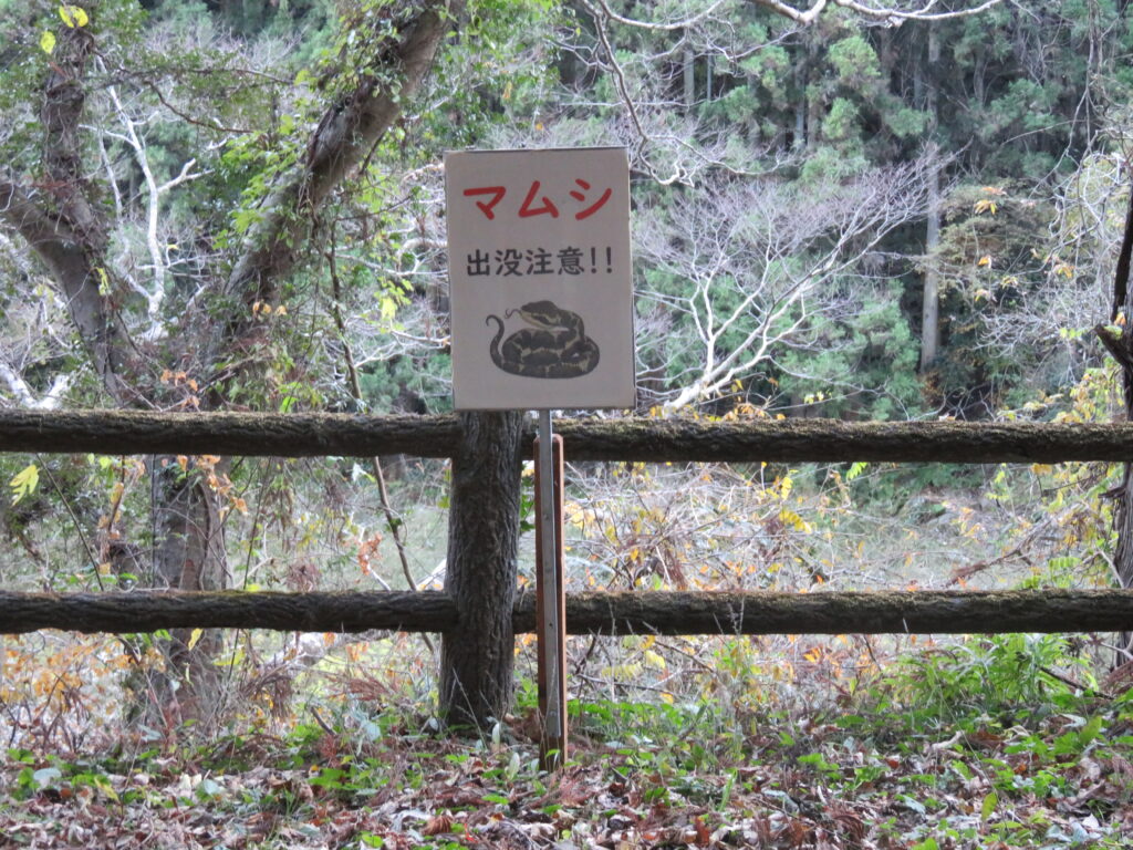 竜神峡2023-02