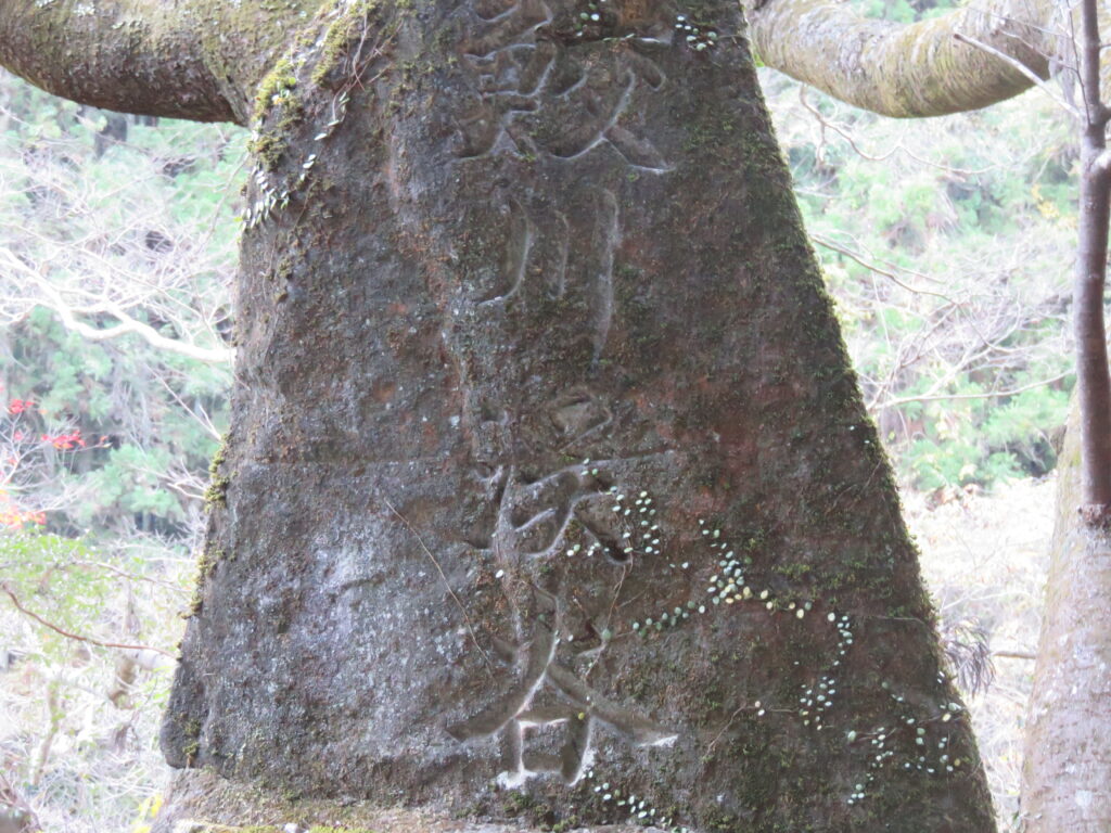 竜神峡2023-47