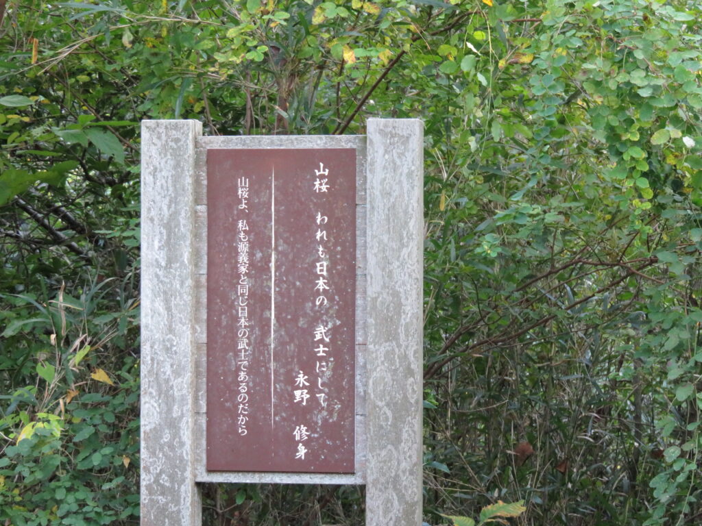 勿来の関公園-24