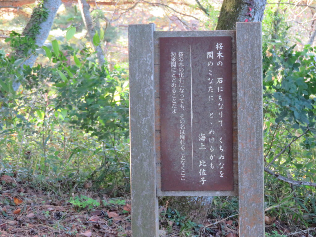 勿来の関公園-27