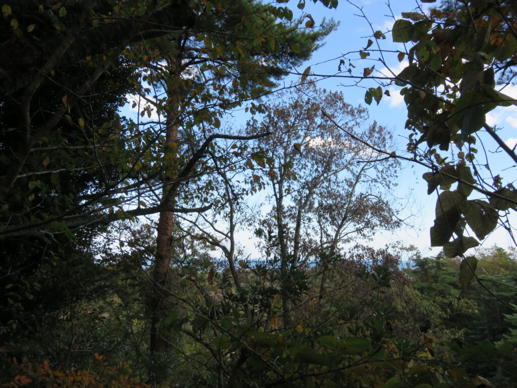 勿来の関公園-38