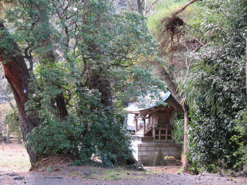 勿来の関公園-43