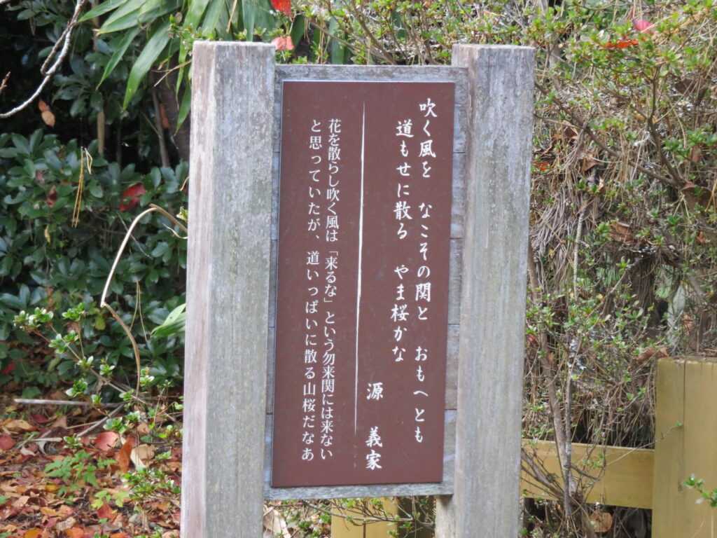 勿来の関公園-51