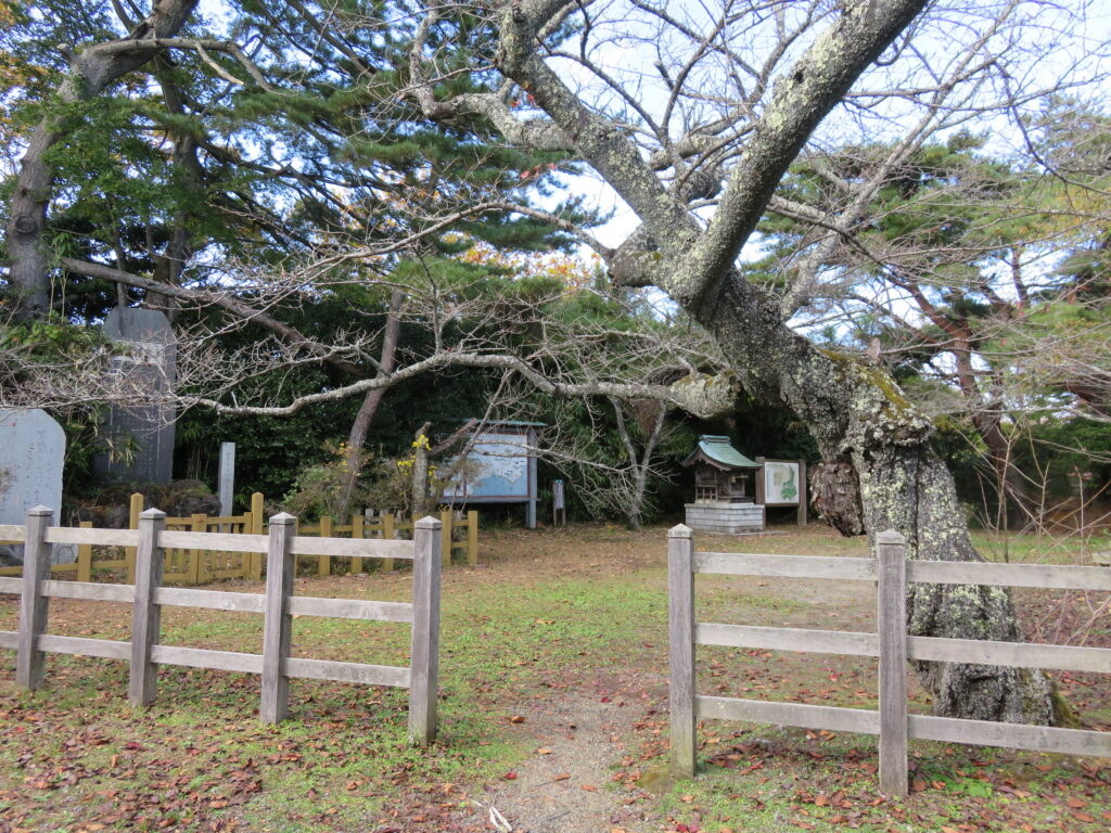勿来の関公園-12
