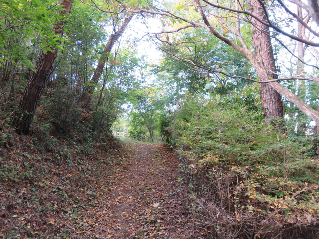 勿来の関公園-111