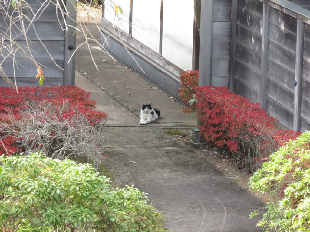 勿来の関公園-66