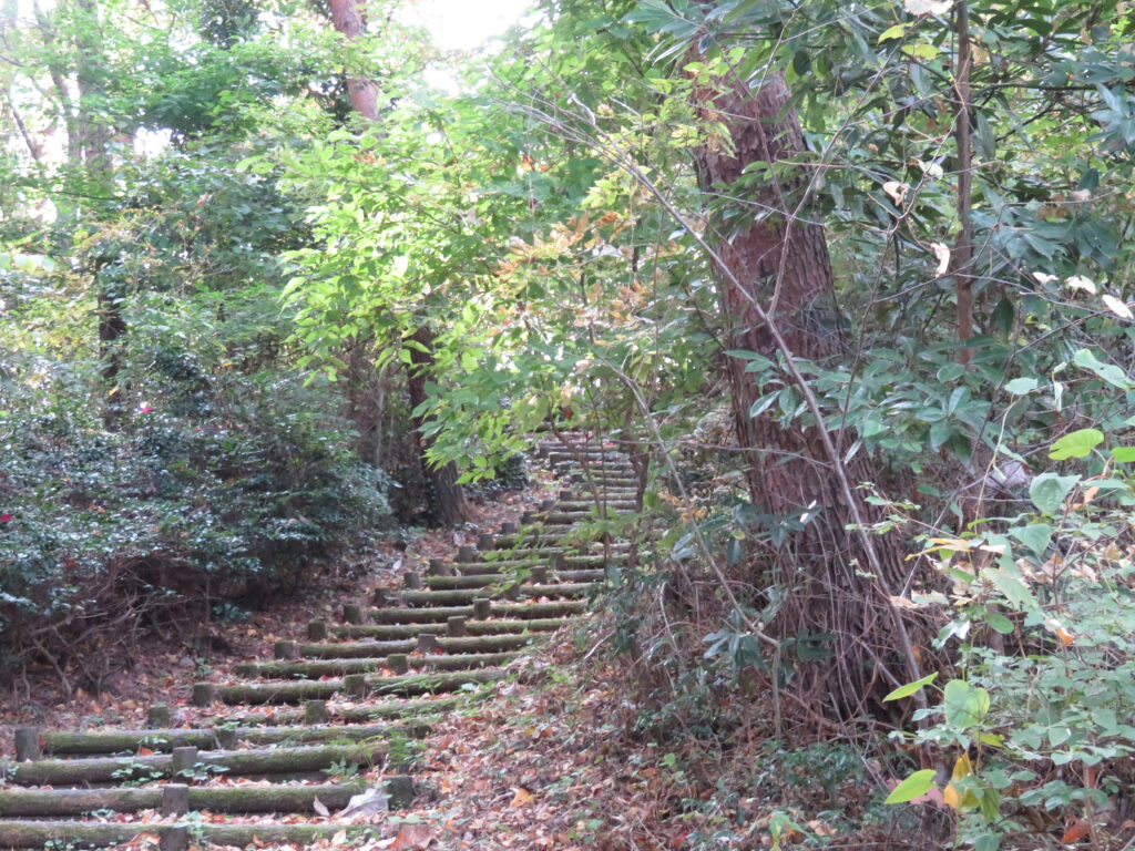 勿来の関公園-84