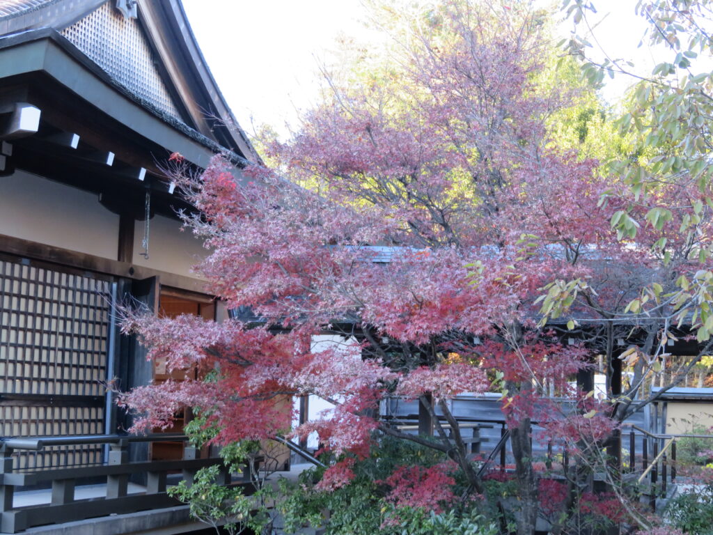勿来の関公園-95