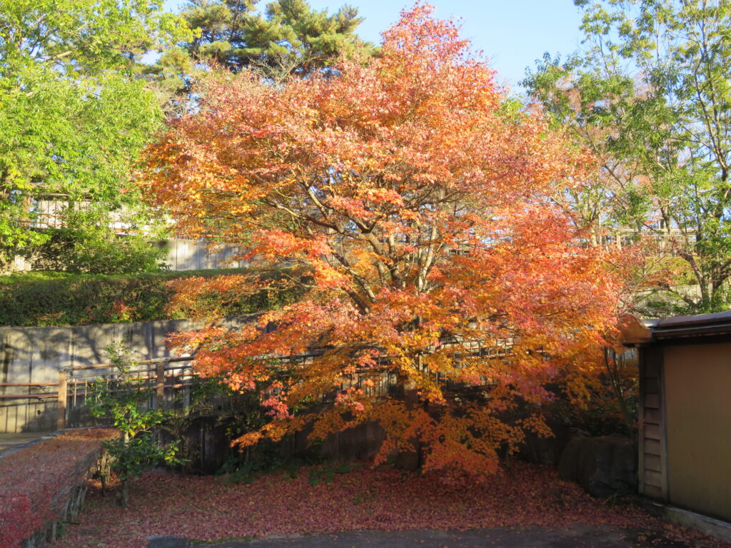 勿来の関公園-96