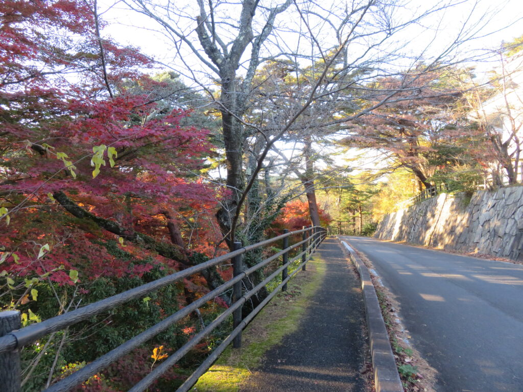 勿来の関公園-093