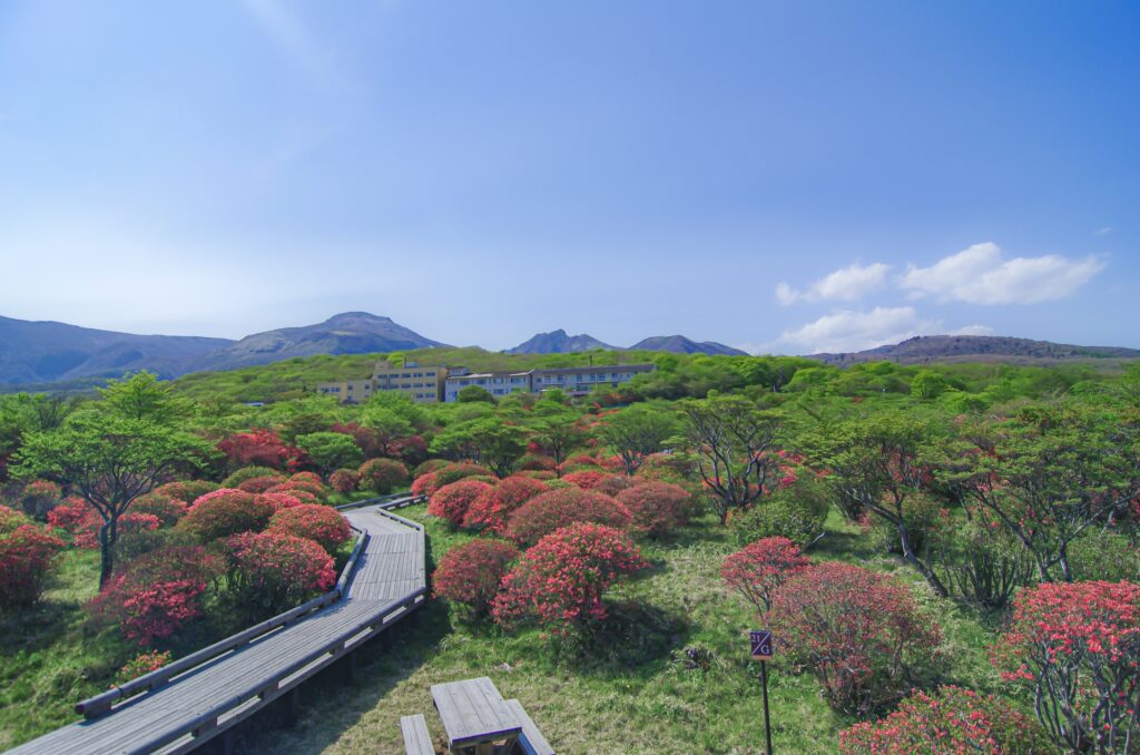 那須高原