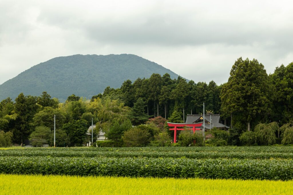 薬莱山