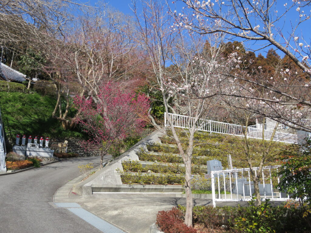 梅林寺-06