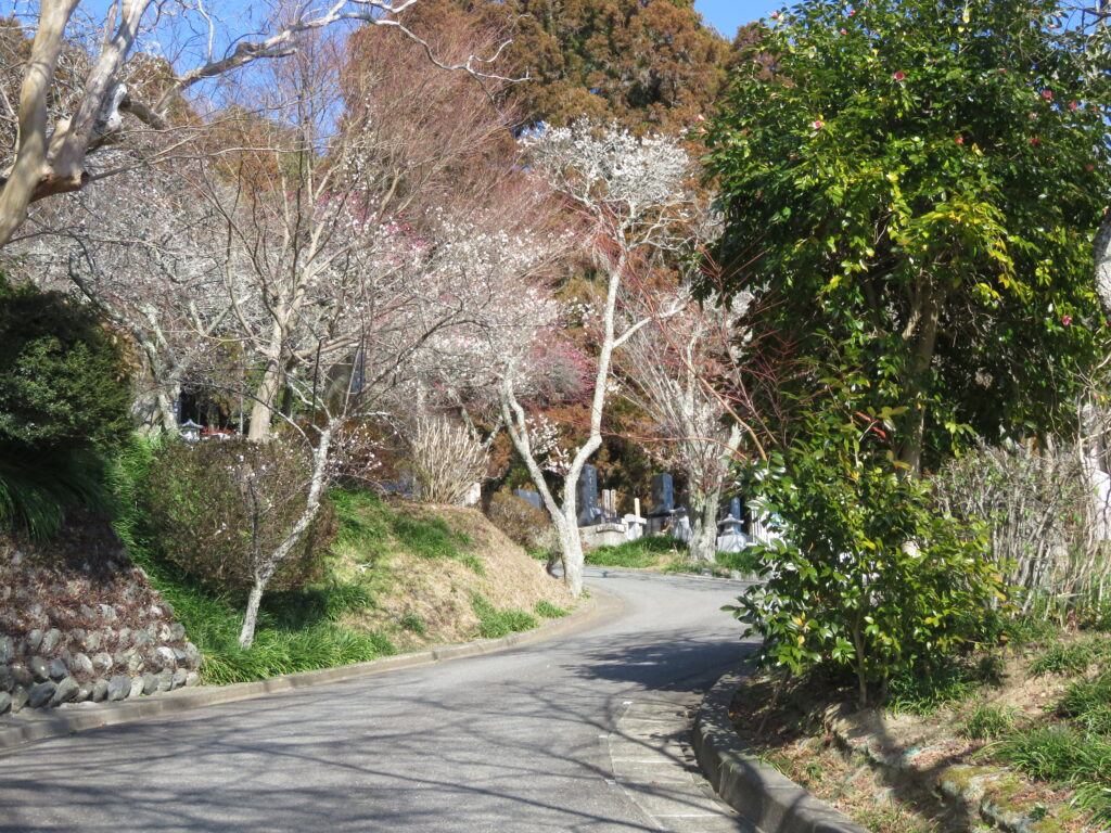 梅林寺-09