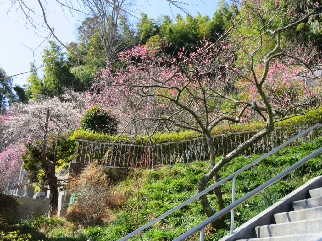梅林寺-10