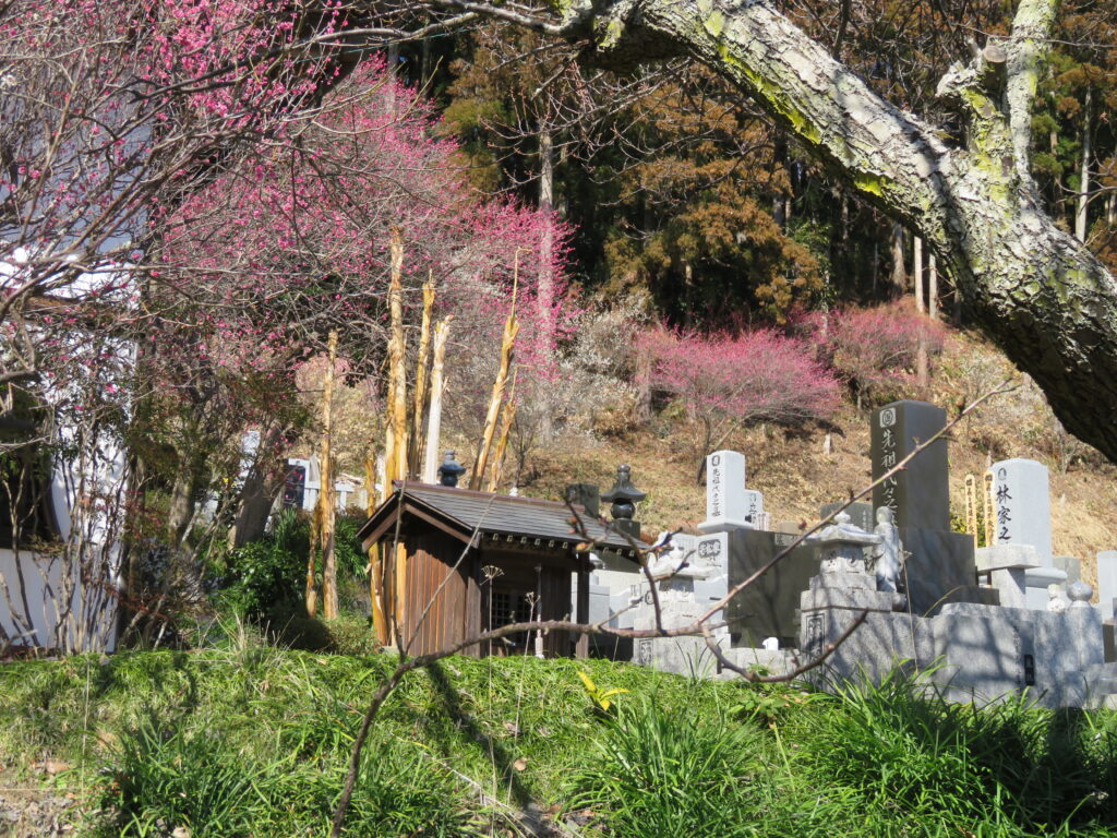 梅林寺-17