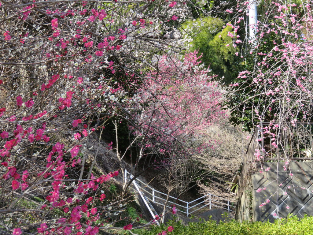 梅林寺-23
