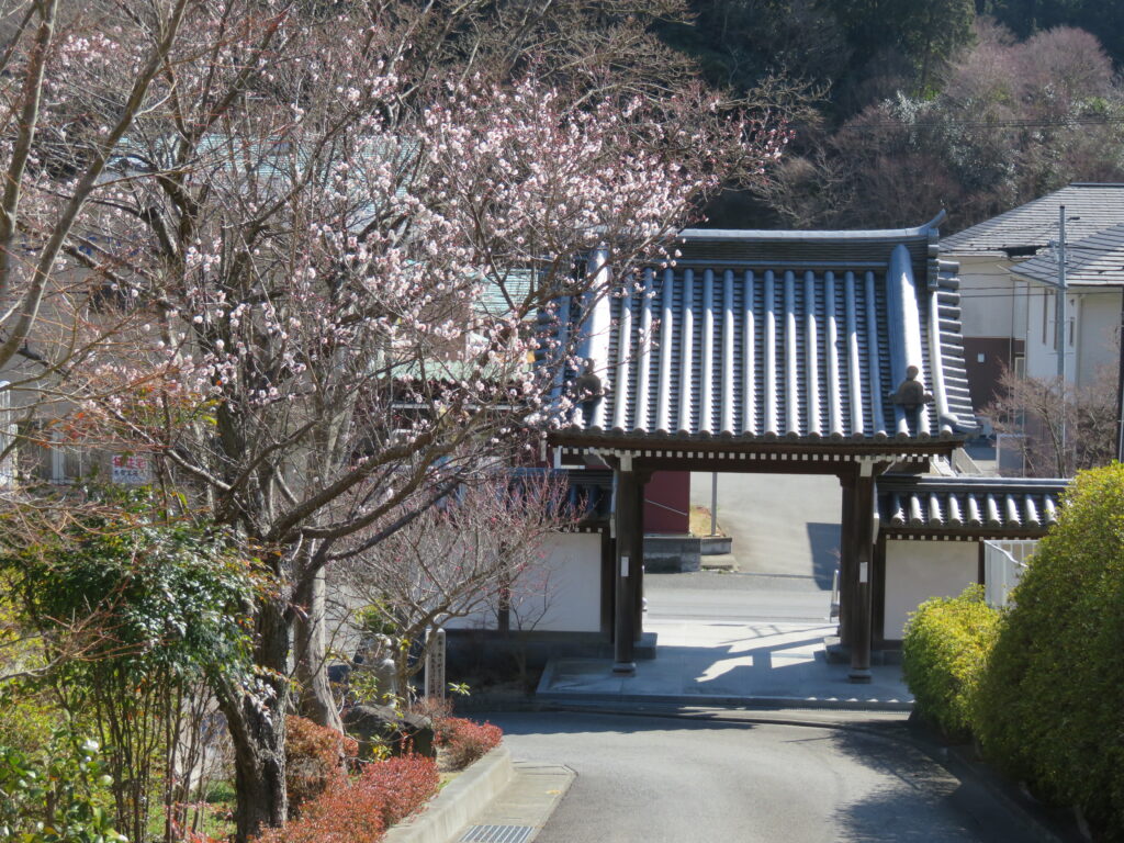 梅林寺-33