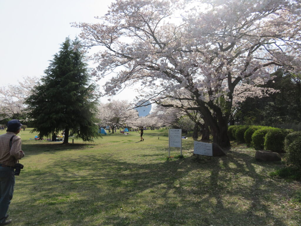 さくら宇宙公園-05